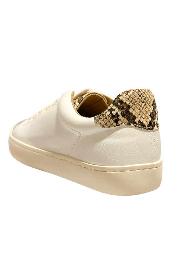 Quinn Snakeskin Sneaker