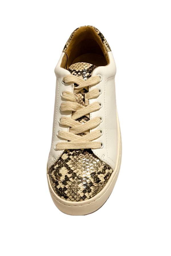 Quinn Snakeskin Sneaker