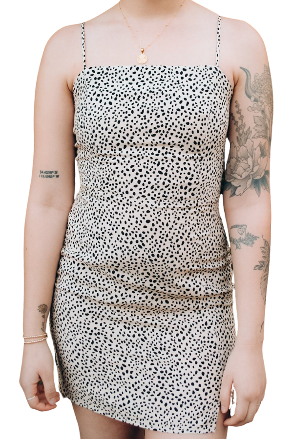 Eli Leopard Mini Dress