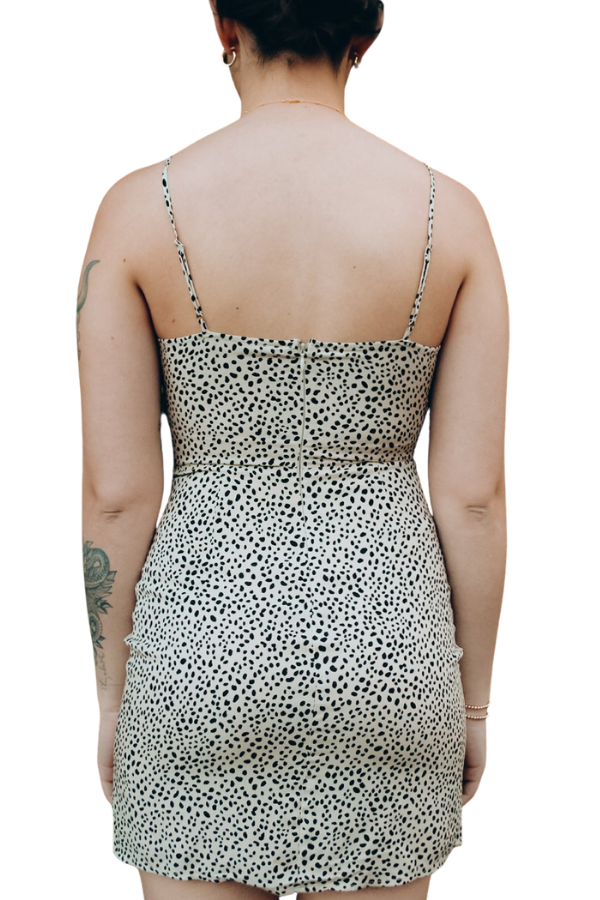 Eli Leopard Mini Dress